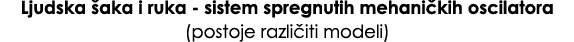 Ljudska aka i ruka sistem spregnutih mehani kih oscilatora (postoje razli iti modeli)