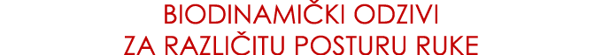 Biodinami ki odzivi Za razli itu posturu ruke